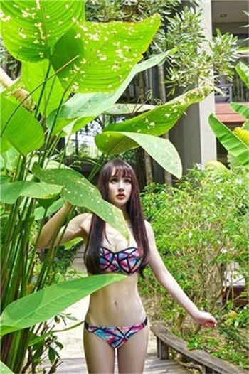 海棠完结文包txt百度云
