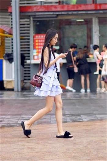 藏经阁导夫先路一8848
