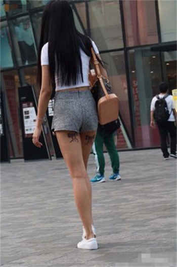 北笙辅助软件
