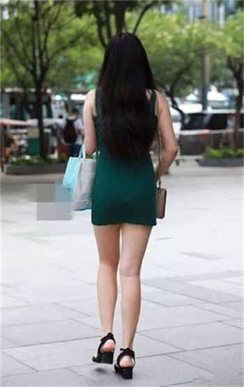 房东与租客美岛攻略