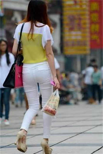杨一凡去哪里找资源